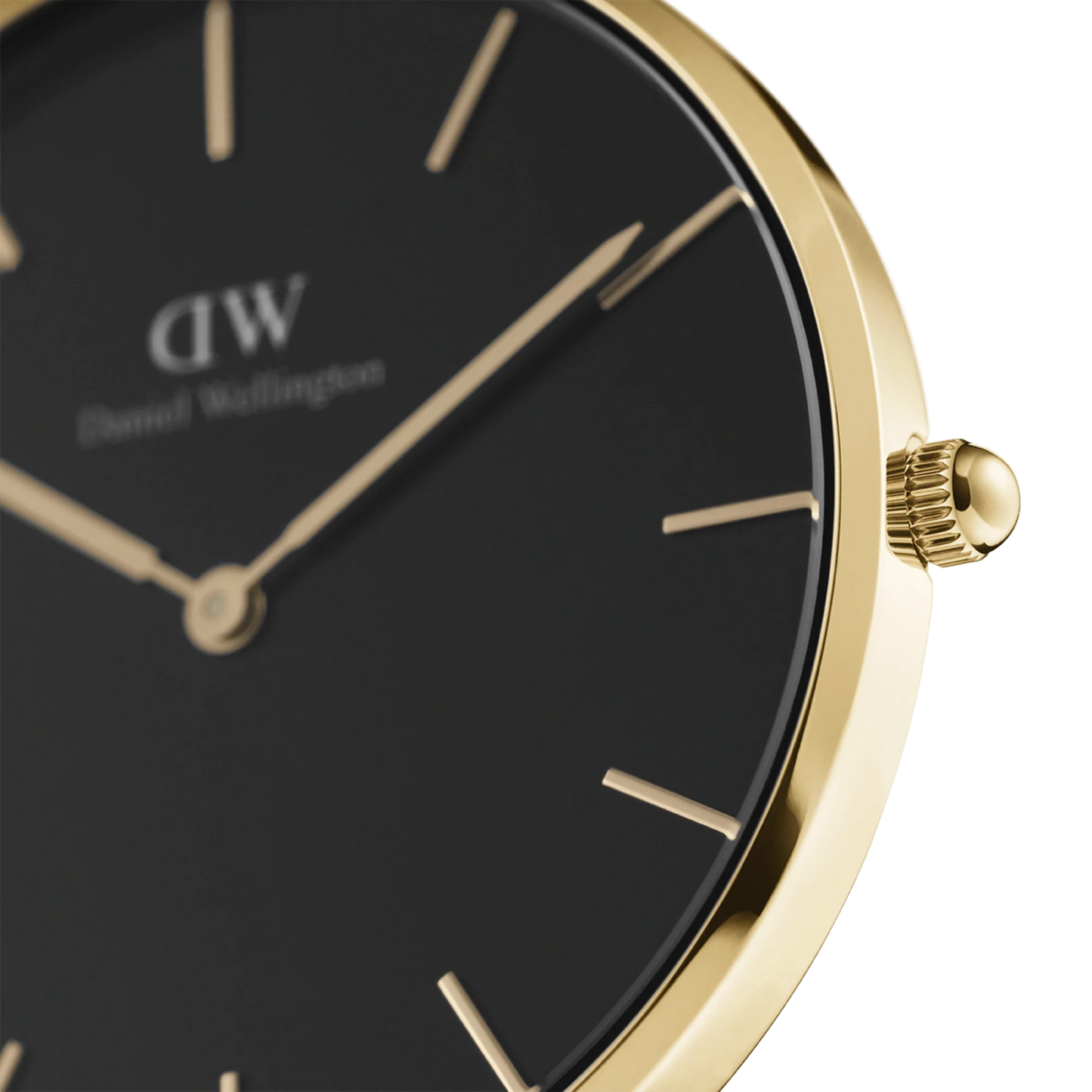 Daniel Wellington Petite Evergold